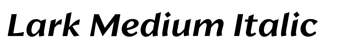 Lark Medium Italic